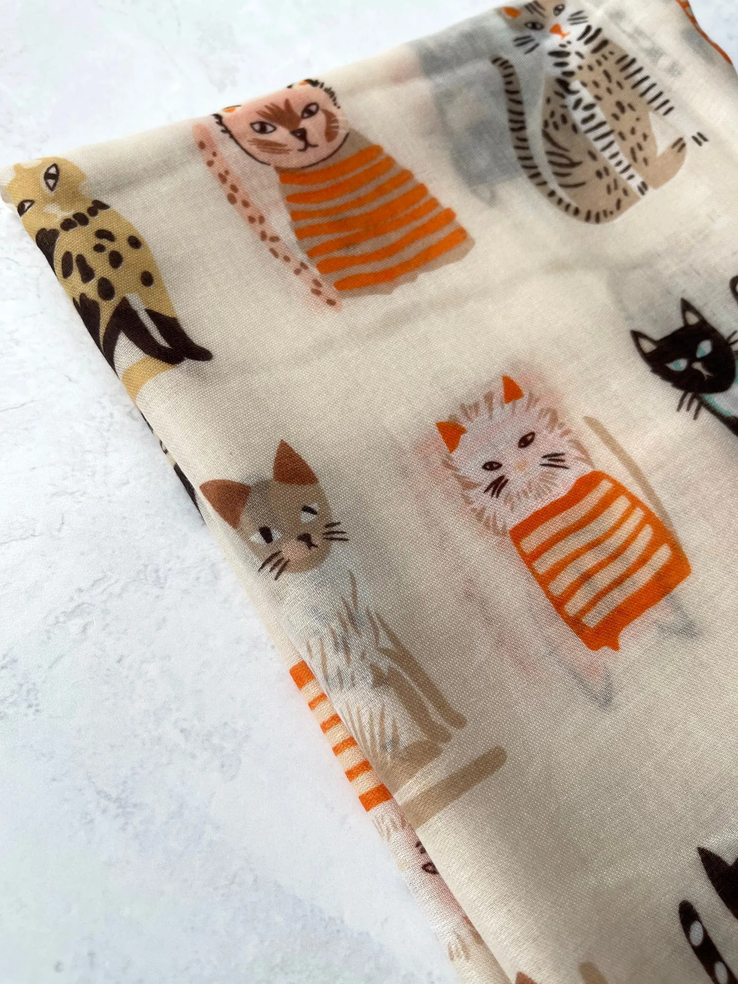 CREAM AND BEIGE LIGHTWEIGHT BORDER CAT SCARF