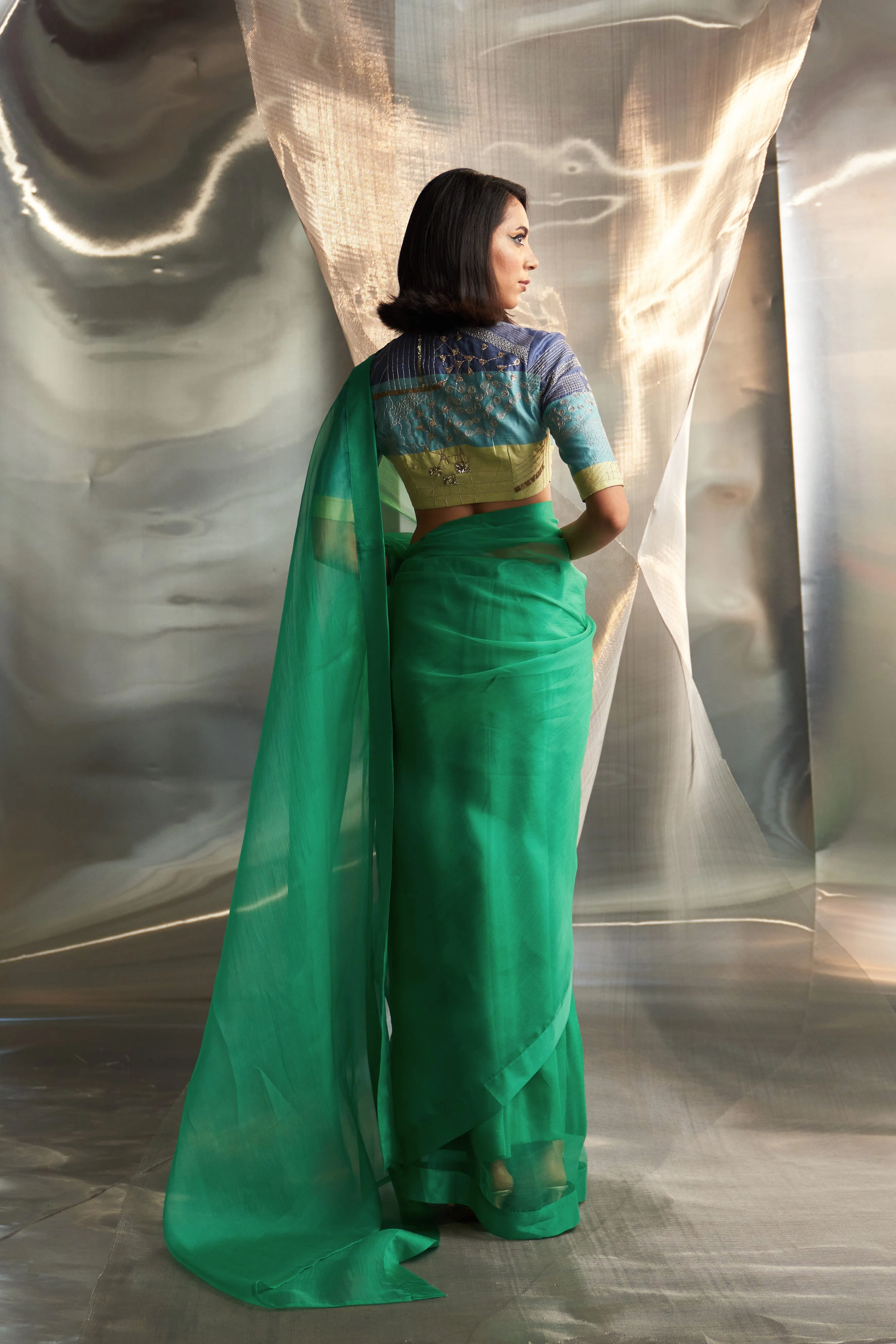 miSr Organza Saree With Sleeve Blouse