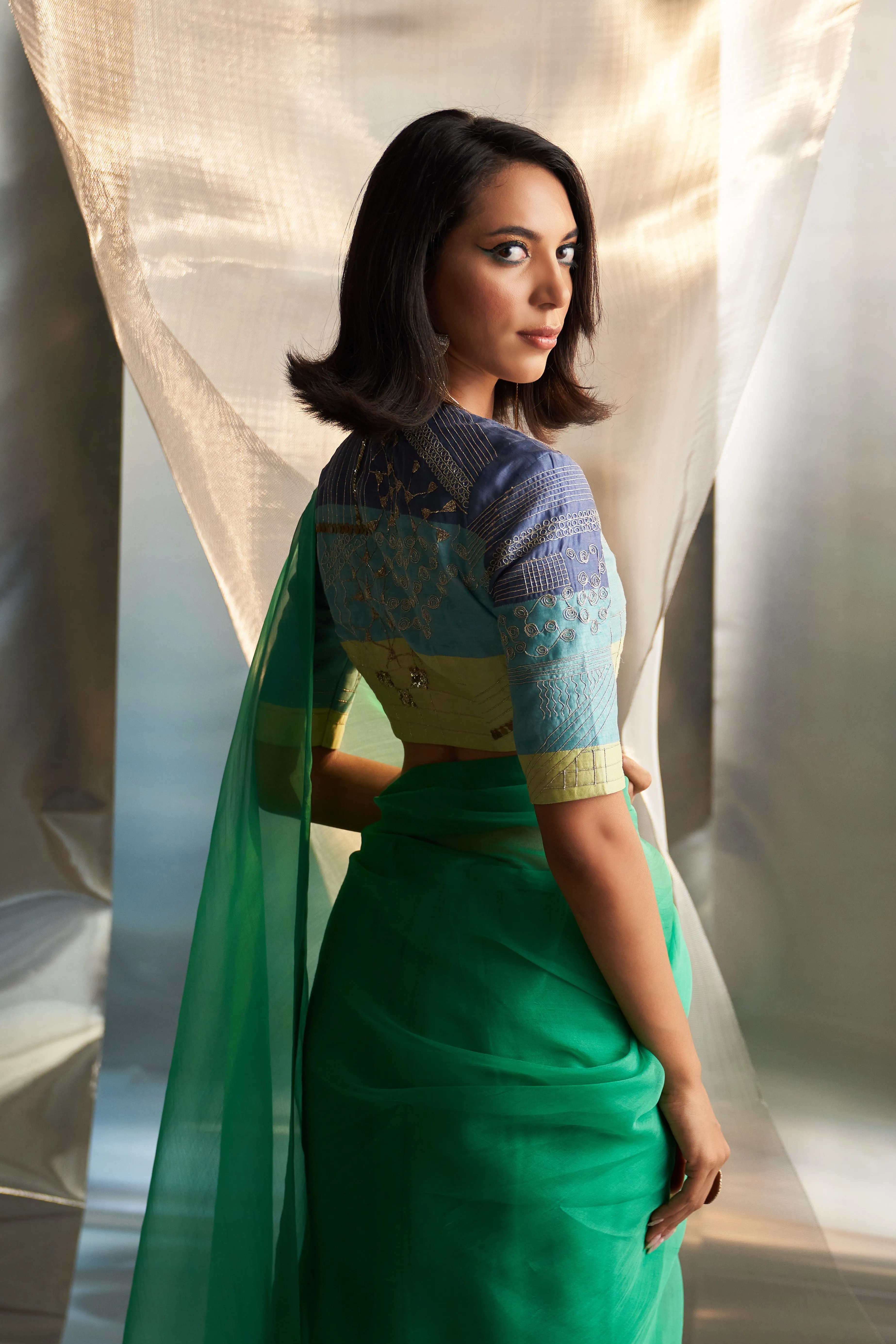 miSr Organza Saree With Sleeve Blouse