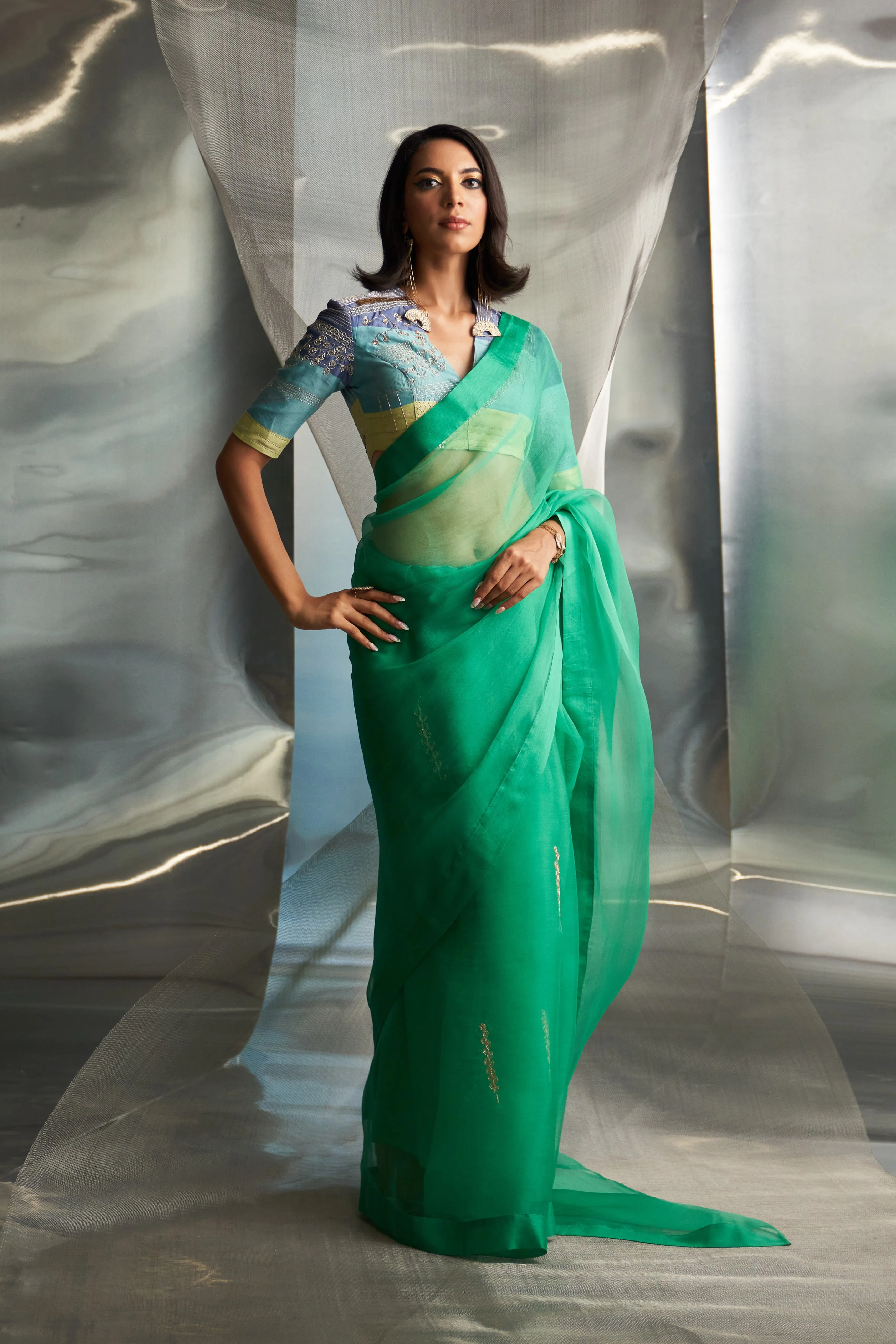 miSr Organza Saree With Sleeve Blouse